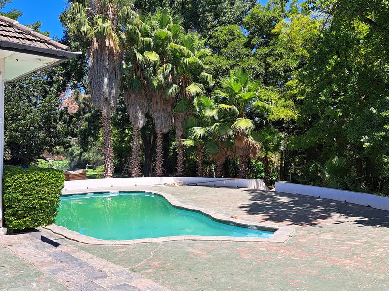 Outdoor pool area featuring a swimming pool with a paved deck and surrounding retaining walls, set within a mature garden environment.