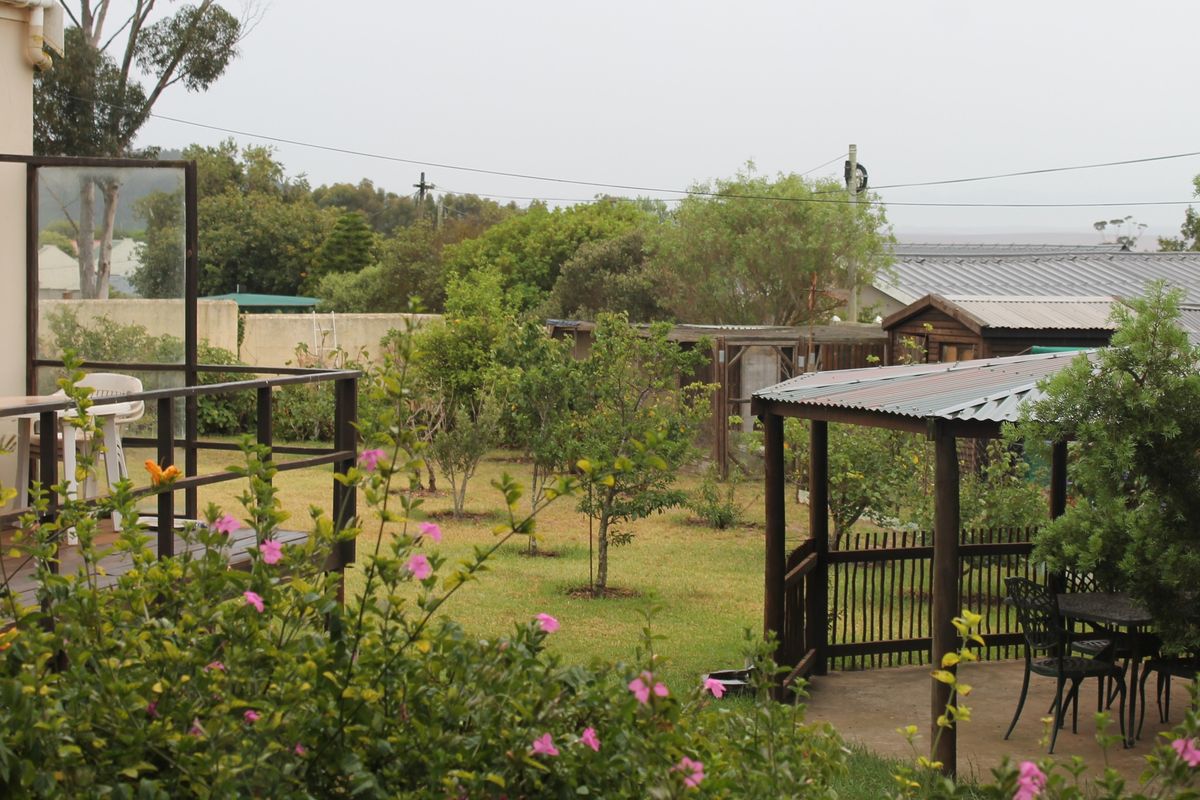A rear garden view featuring a wooden deck, a covered pergola area, and established landscaping with a boundary wall.