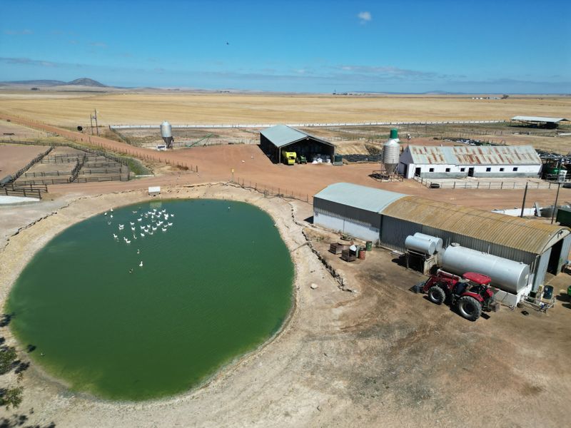 Darling: 3 x Adjacent Farms for Sale by Tender - Photo 4