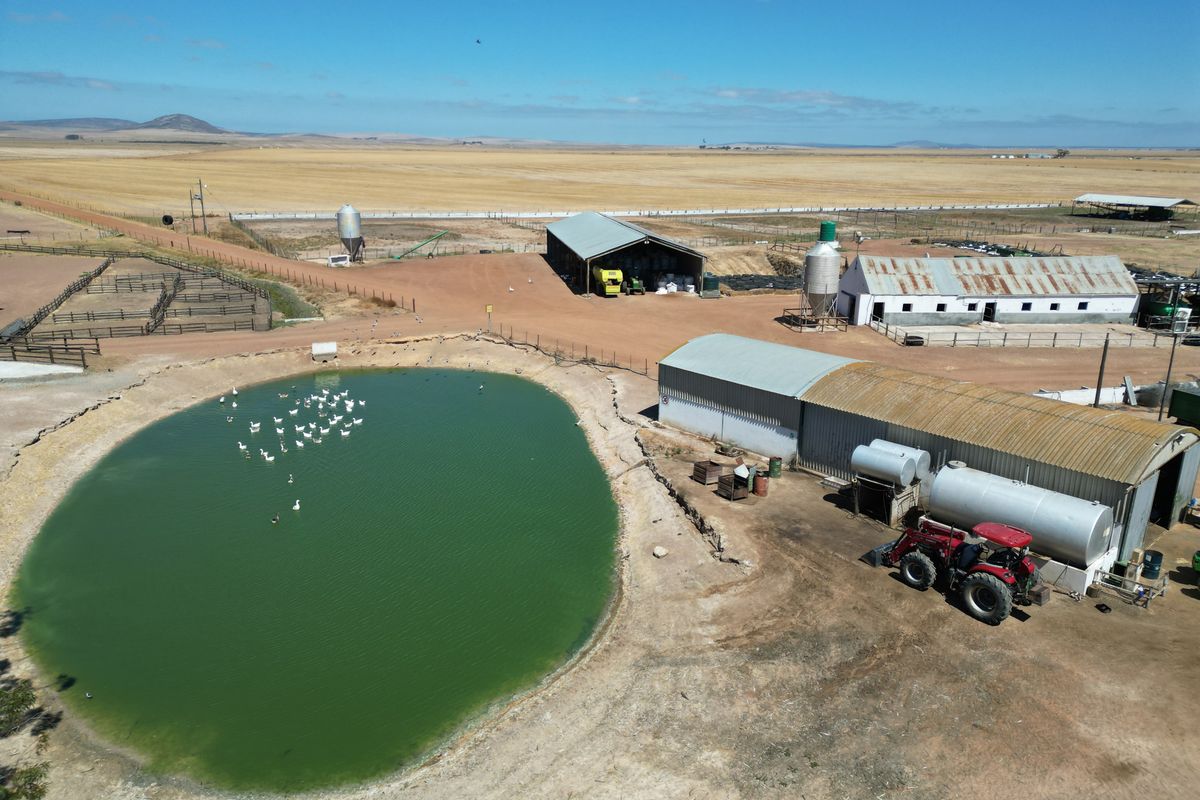 Darling: 3 x Adjacent Farms for Sale by Tender - Photo 4