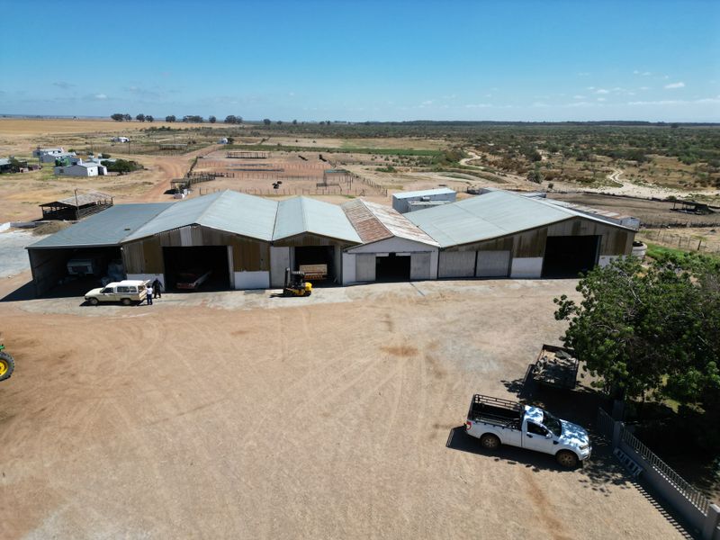 Darling: 3 x Adjacent Farms for Sale by Tender - Photo 3