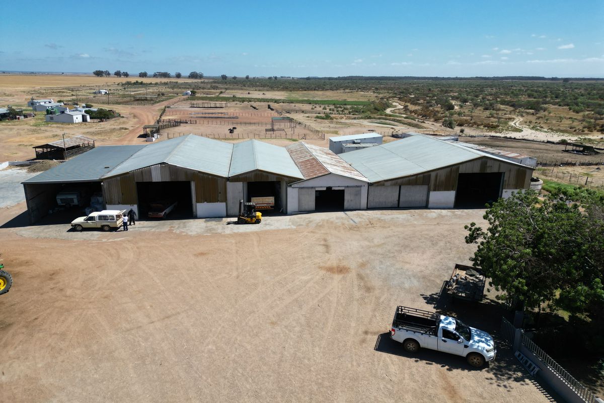 Darling: 3 x Adjacent Farms for Sale by Tender - Photo 3