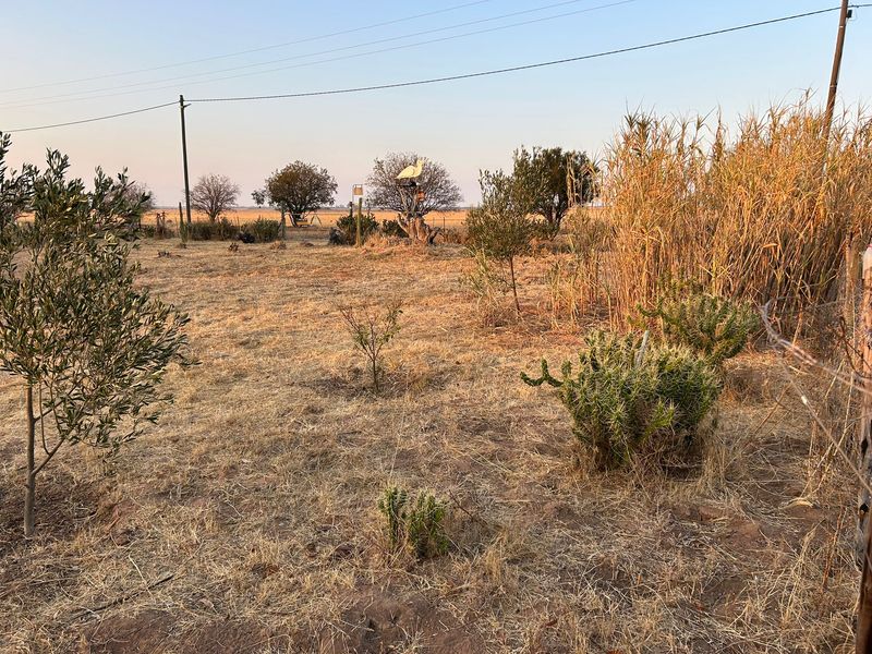 Aurora West Coast vacant land - Photo 2