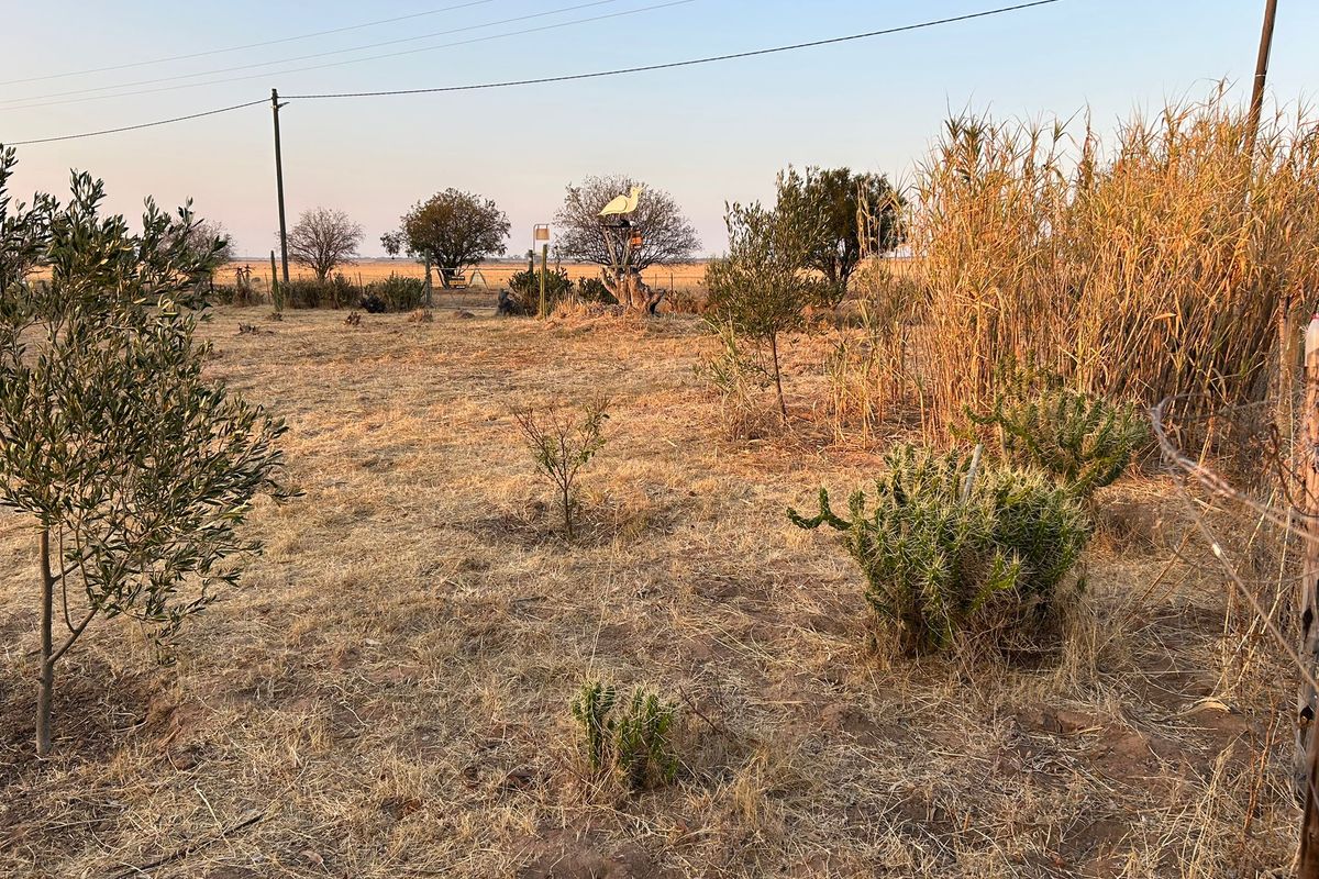 Aurora West Coast vacant land - Photo 2