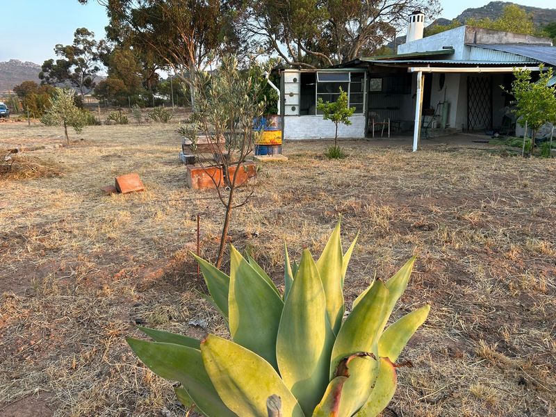 Aurora West Coast vacant land - Photo 5