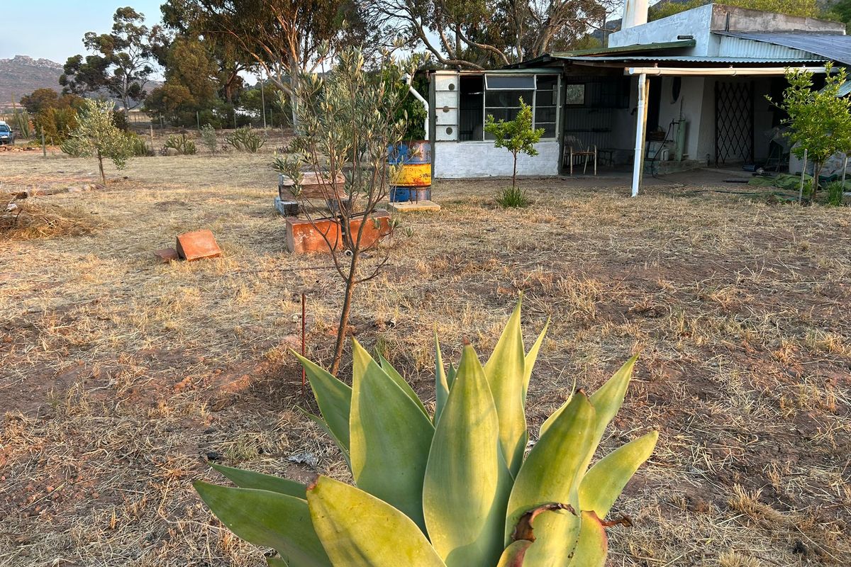 Aurora West Coast vacant land - Photo 5