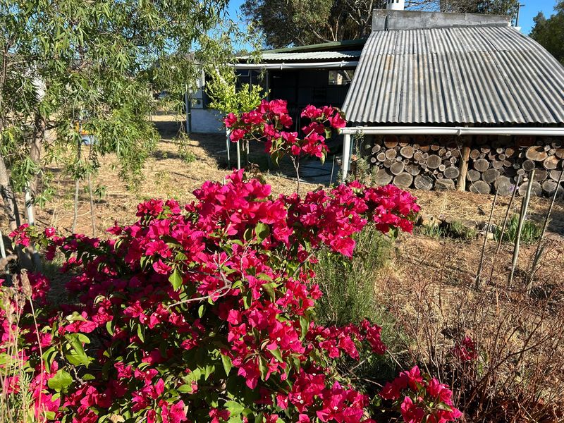 Aurora West Coast vacant land - Photo 4
