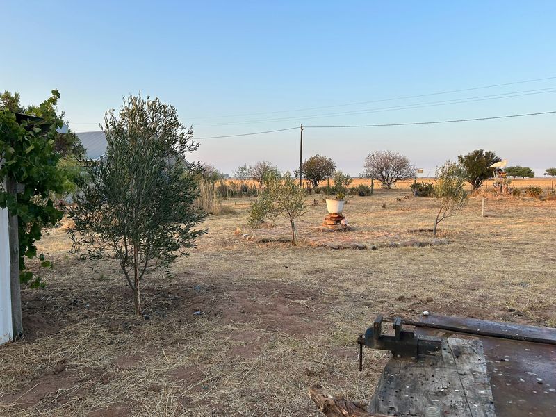 Aurora West Coast vacant land - Photo 10