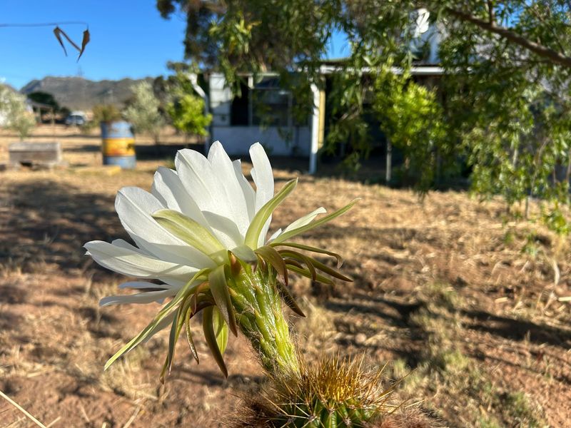 Aurora West Coast vacant land - Photo 9