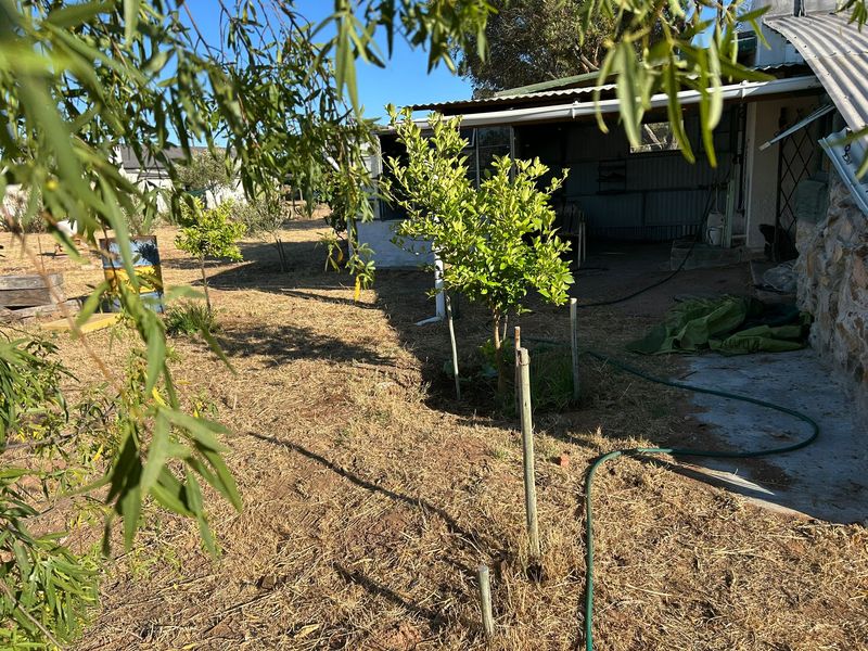 Aurora West Coast vacant land - Photo 8