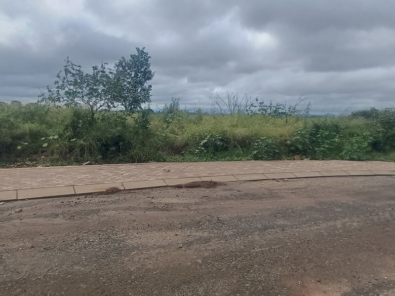 Vacant Stand For Sale in old town, Louis Trichardt - Photo 3