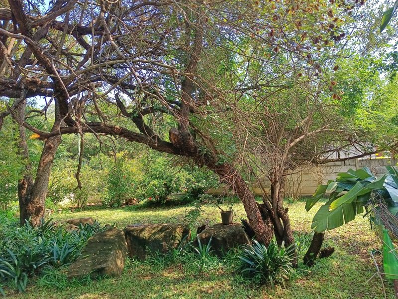 Spacious Three Bedroom Home - Photo 5