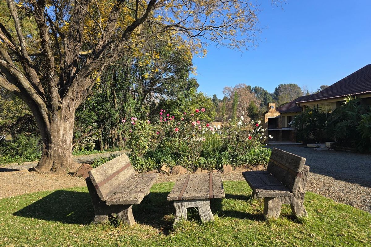 Modern Country Style - Neat Charming - with a Dam!!! In Boom Area - Photo 5