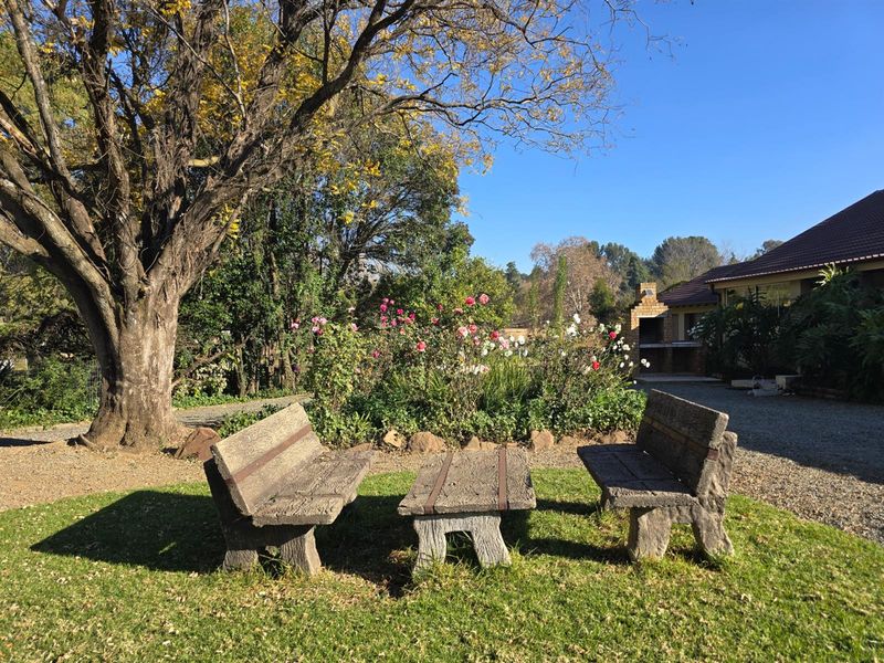 Modern Country Style - Neat Charming - with a Dam!!! In Boom Area - Photo 5