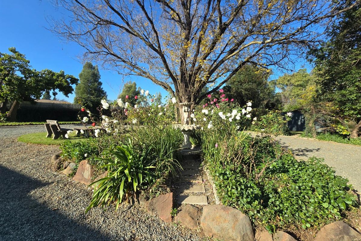 Modern Country Style - Neat Charming - with a Dam!!! In Boom Area - Photo 2