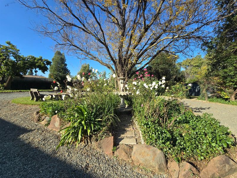 Modern Country Style - Neat Charming - with a Dam!!! In Boom Area - Photo 2