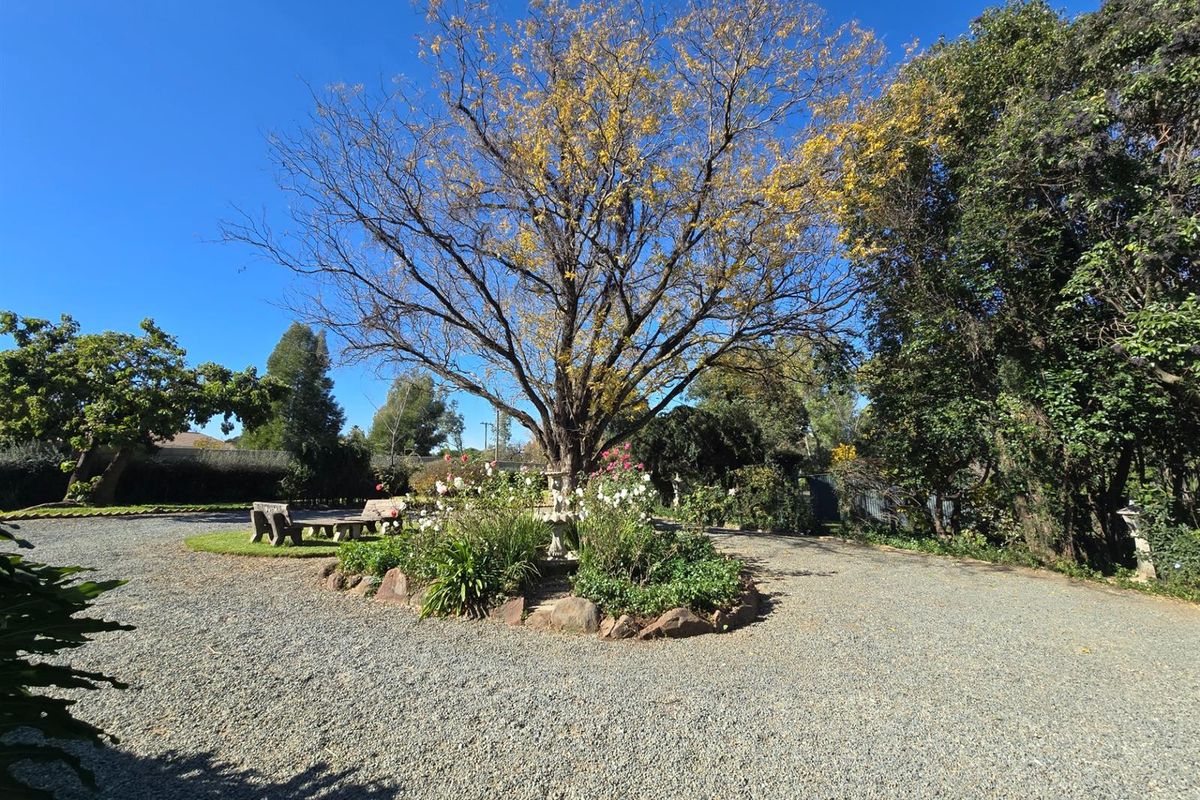 Modern Country Style - Neat Charming - with a Dam!!! In Boom Area - Photo 3