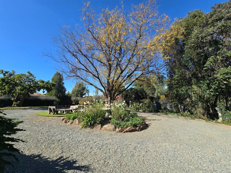 Modern Country Style - Neat Charming - with a Dam!!! In Boom Area - Photo 3