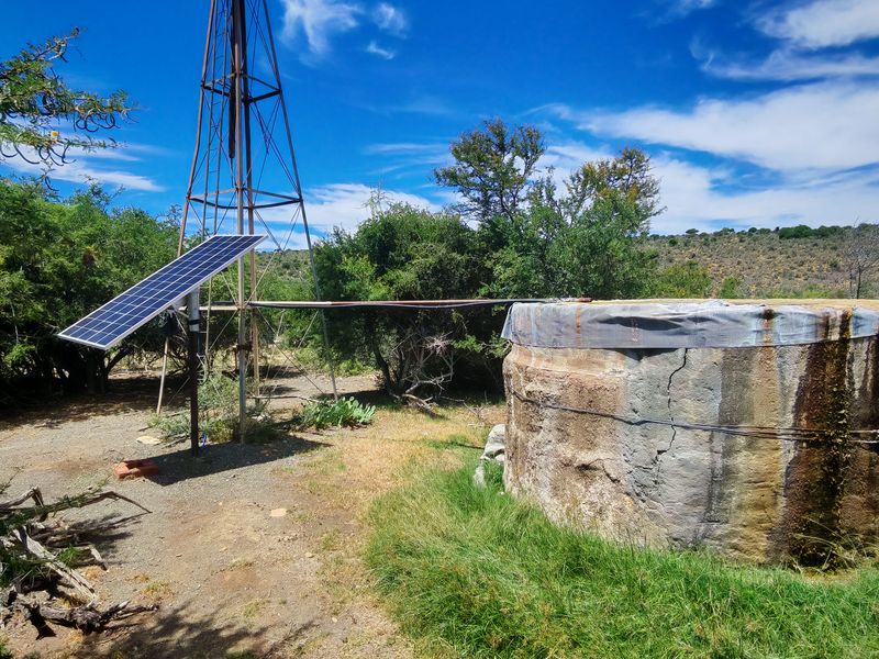 Westondale Farm – a proven equestrian and stud farm of distinction - Photo 10
