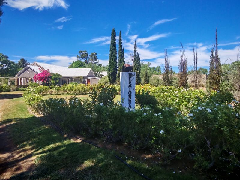 Westondale Farm – a proven equestrian and stud farm of distinction - Photo 3