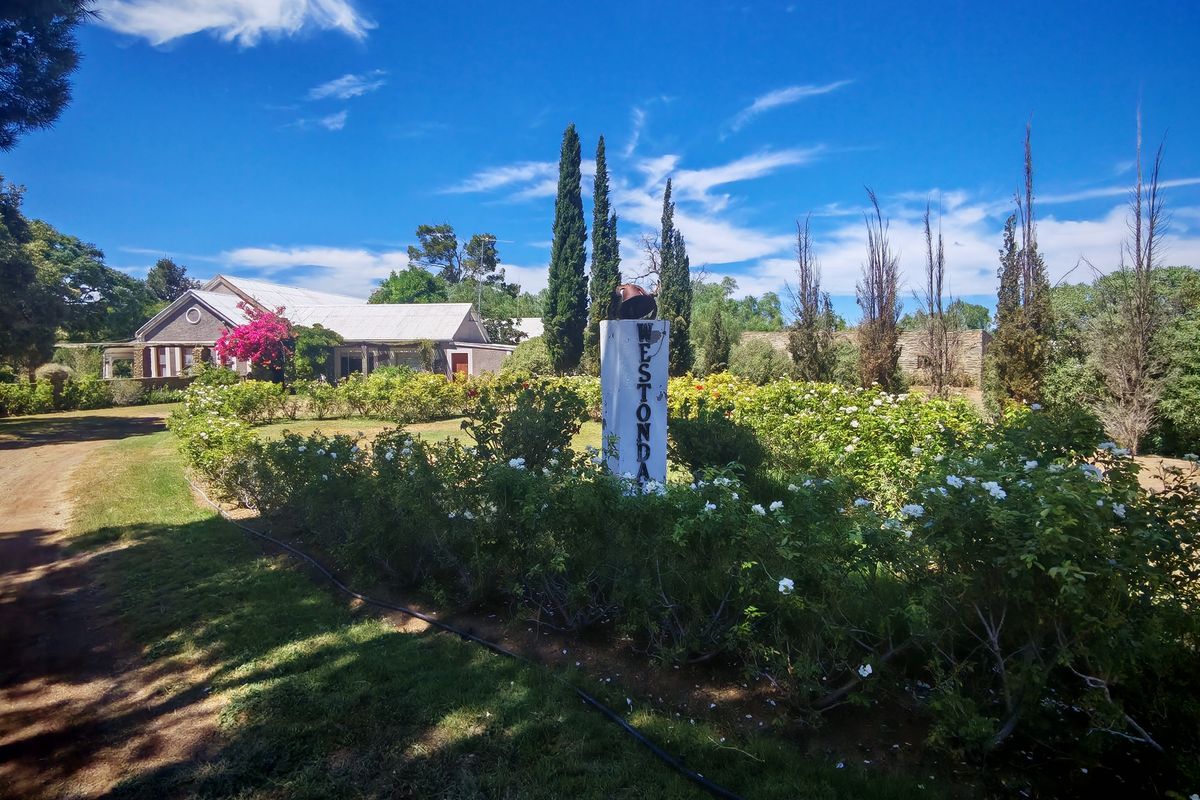 Westondale Farm – a proven equestrian and stud farm of distinction - Photo 3