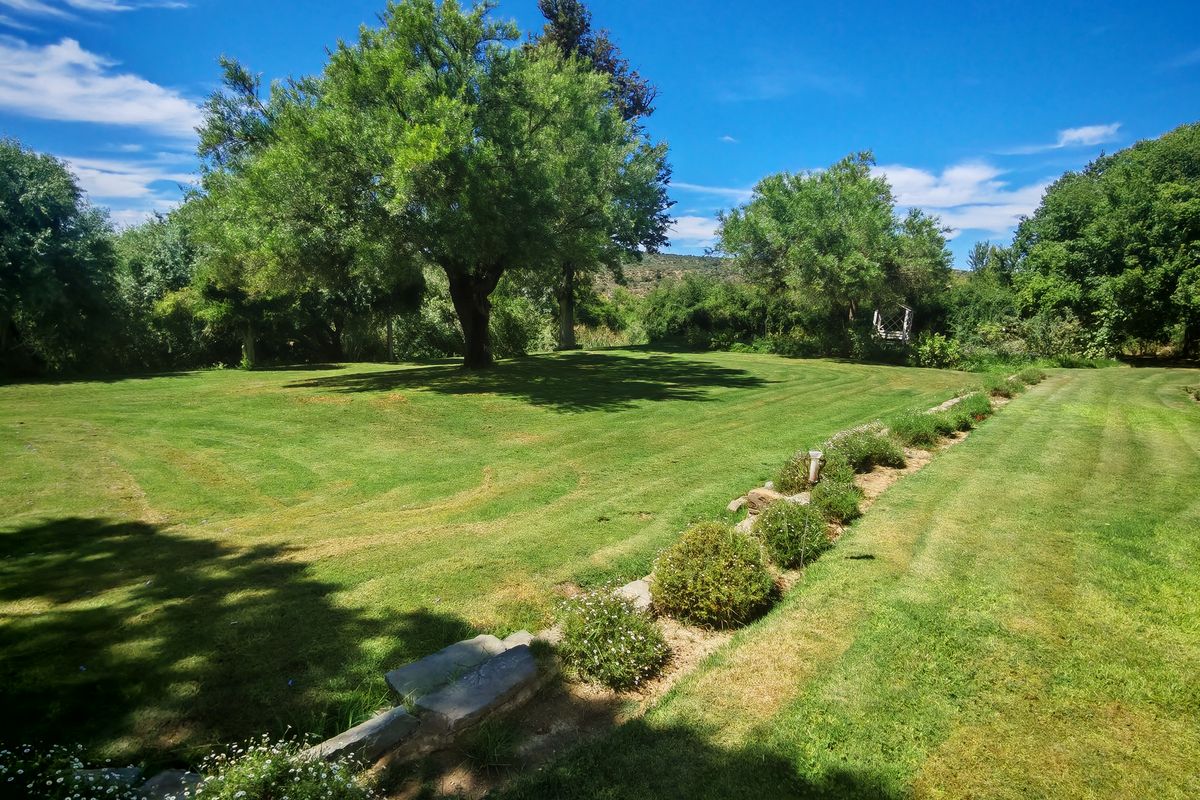 Westondale Farm – a proven equestrian and stud farm of distinction - Photo 4