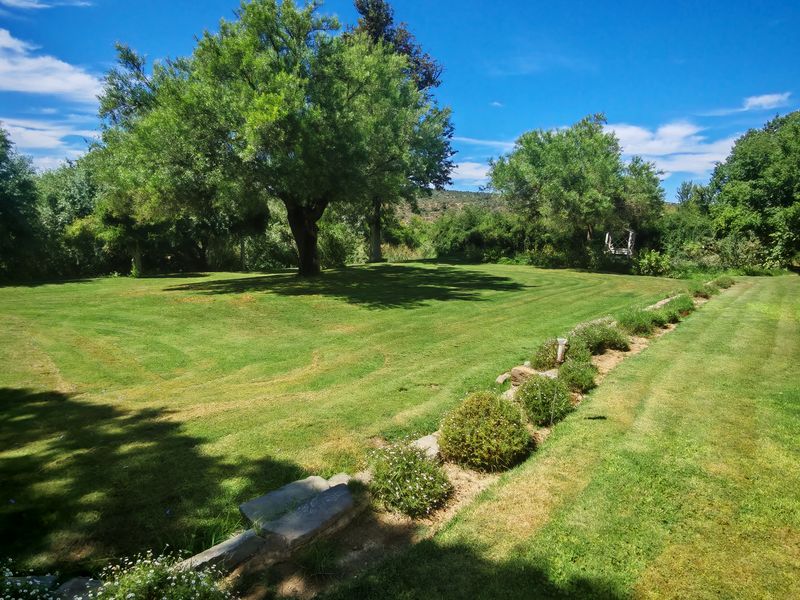 Westondale Farm – a proven equestrian and stud farm of distinction - Photo 4