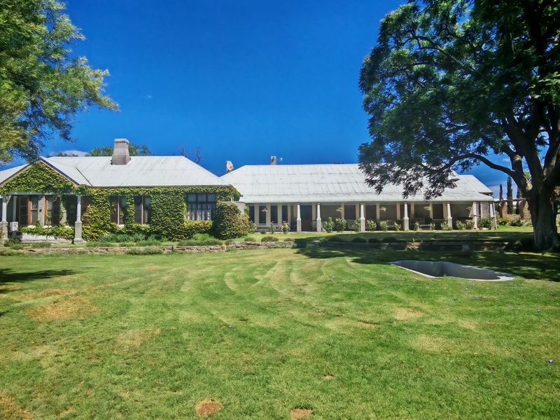 Westondale Farm – a proven equestrian and stud farm of distinction - Photo 2
