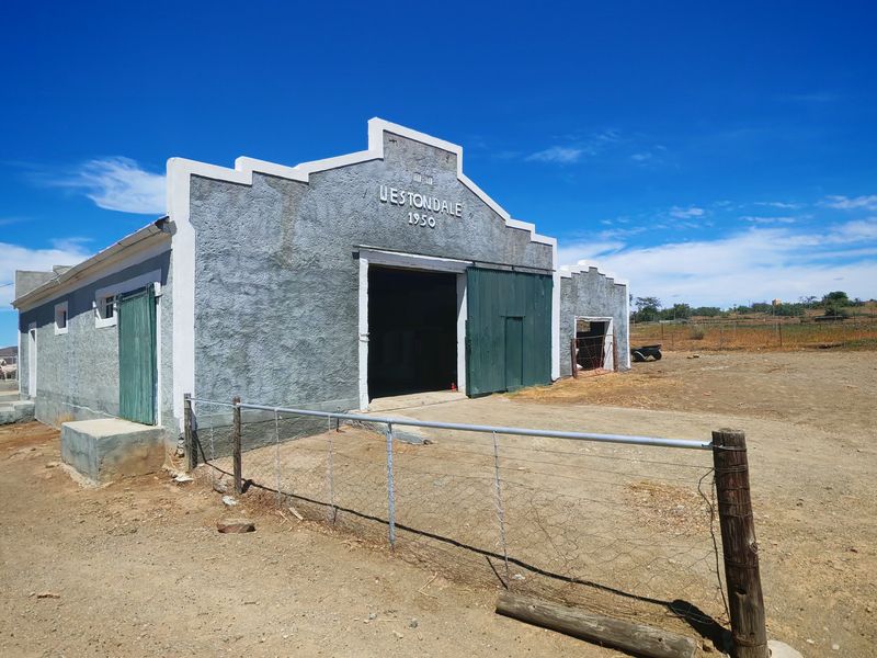 Westondale Farm – a proven equestrian and stud farm of distinction - Photo 8