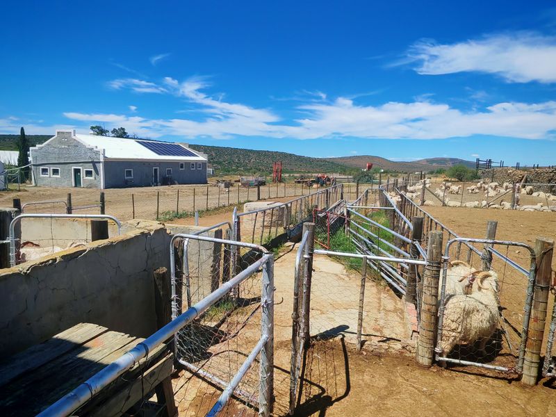 Westondale Farm – a proven equestrian and stud farm of distinction - Photo 6