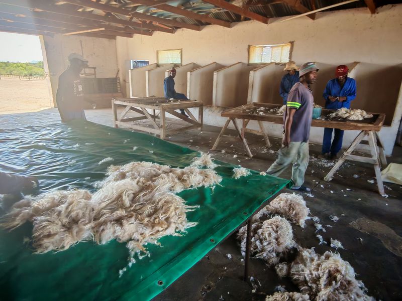 Westondale Farm – a proven equestrian and stud farm of distinction - Photo 9