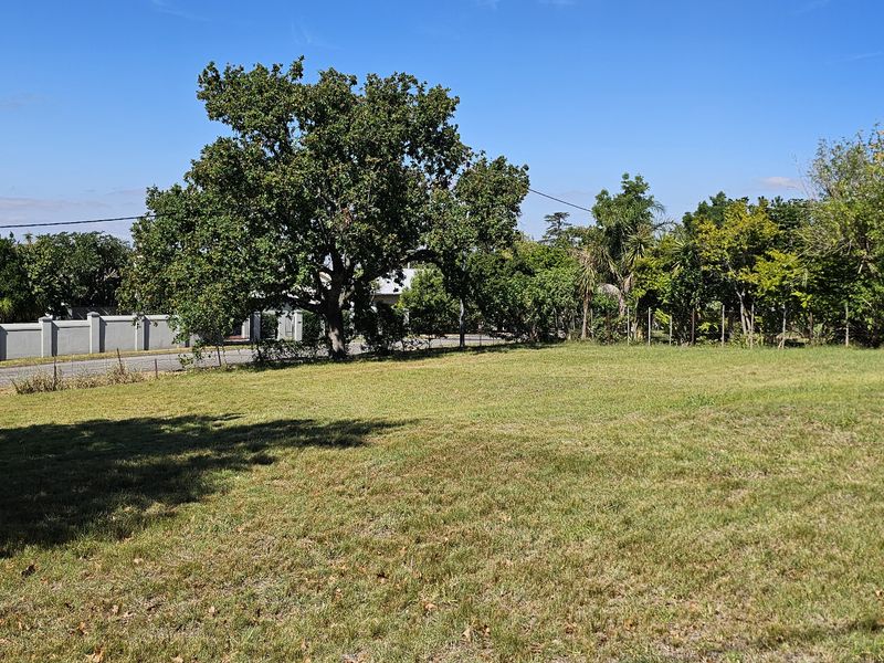 Perfectly Positioned Vacant Land in the Heart of Swellendam - Photo 6