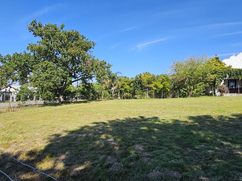Perfectly Positioned Vacant Land in the Heart of Swellendam - Photo 2
