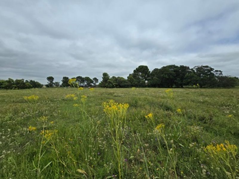 Close the CBD - Workshop Space - Tranquil Living - Cottages - So Much More!!! - Photo 7