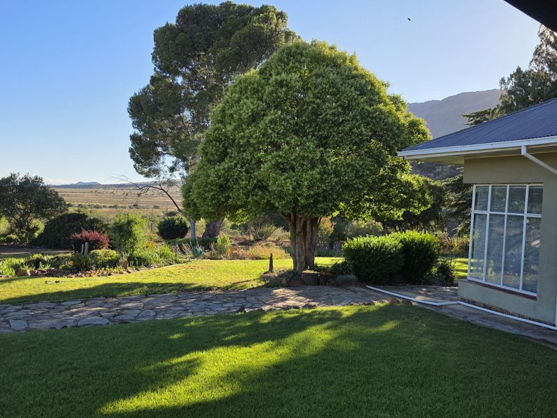 De Hoek Farm – 815ha of Untouched Karoo Beauty - Photo 4