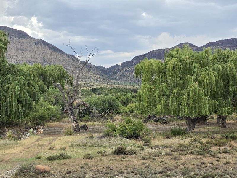 De Hoek Farm – 815ha of Untouched Karoo Beauty - Photo 9