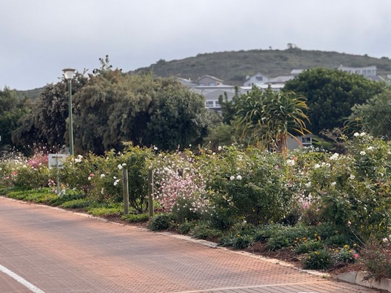 Vacant Stand in Sought-After Estate - Photo 6