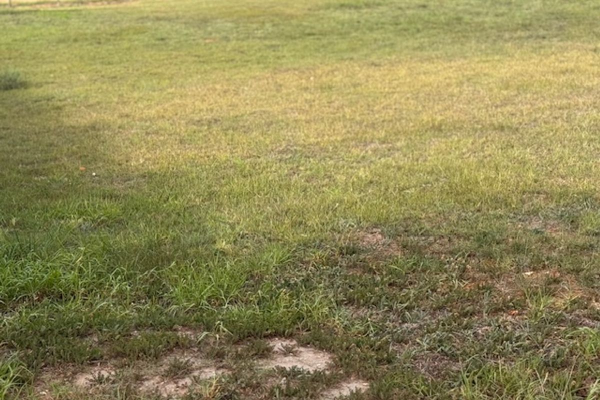 Vacant Stand in Sought-After Estate - Photo 3