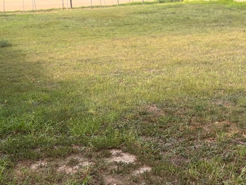 Vacant Stand in Sought-After Estate - Photo 3