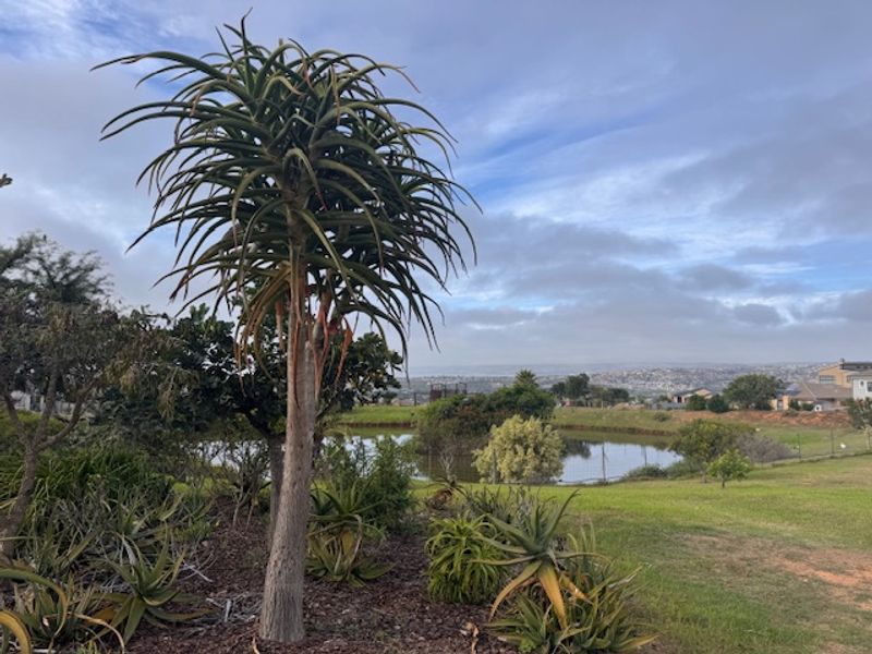 Prime Erf for Sale in Established Estate - Photo 9