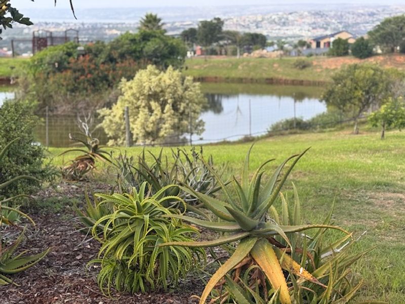 Prime Erf for Sale in Established Estate - Photo 8