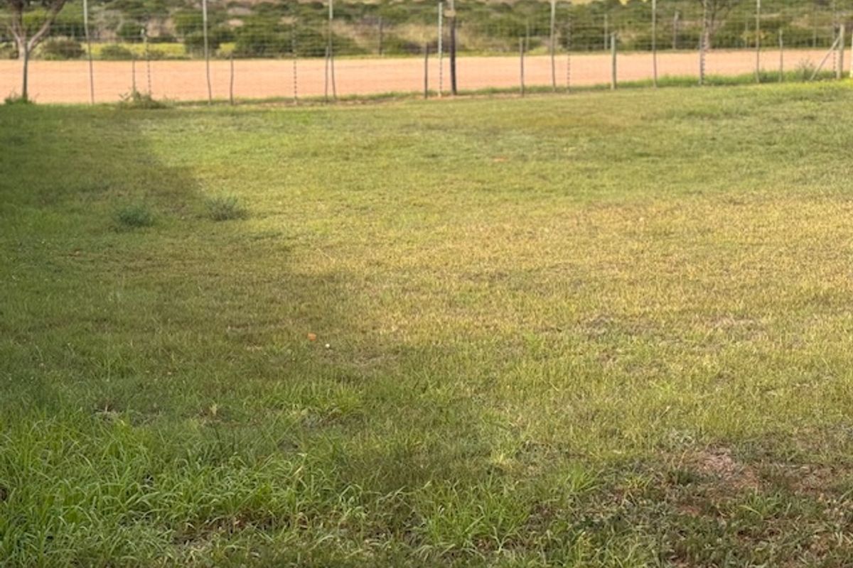 Prime Erf for Sale in Established Estate - Photo 3