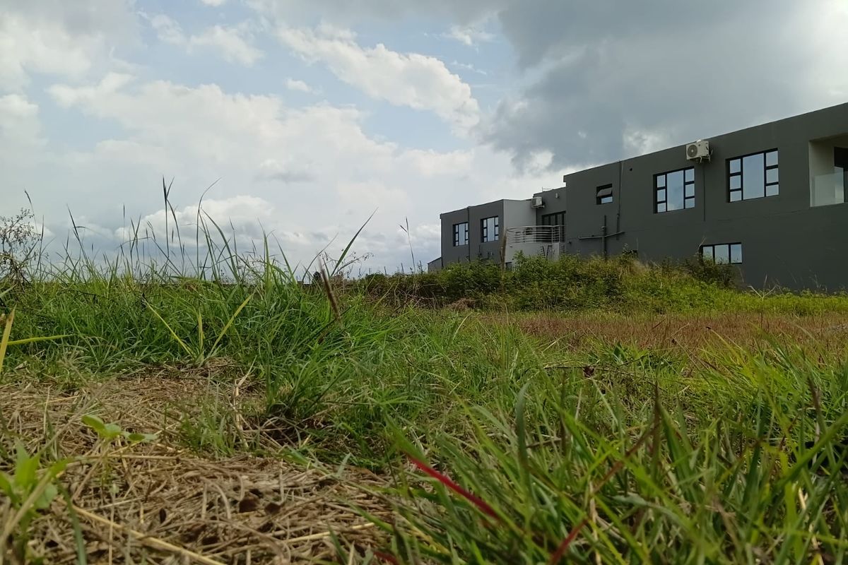 A Blank Canvas Waiting For You. - Photo 2