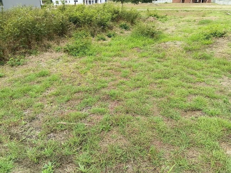 A Blank Canvas Waiting For You. - Photo 8