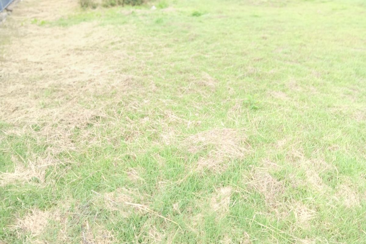 A Blank Canvas Waiting For You. - Photo 3