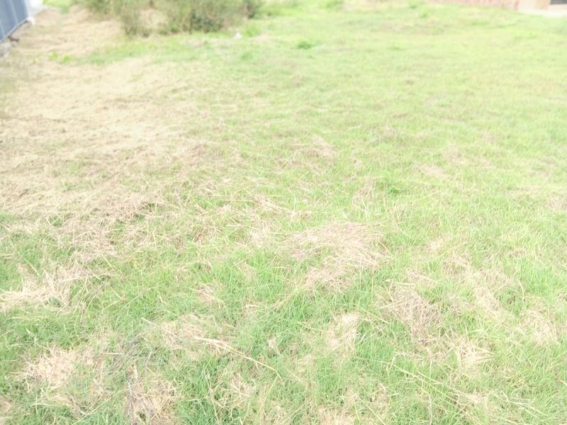 A Blank Canvas Waiting For You. - Photo 3