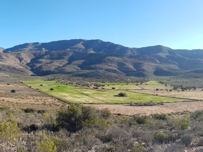 Ladismith, Western Cape - 123 ha Water-Rich Farm for Sale - Photo 7