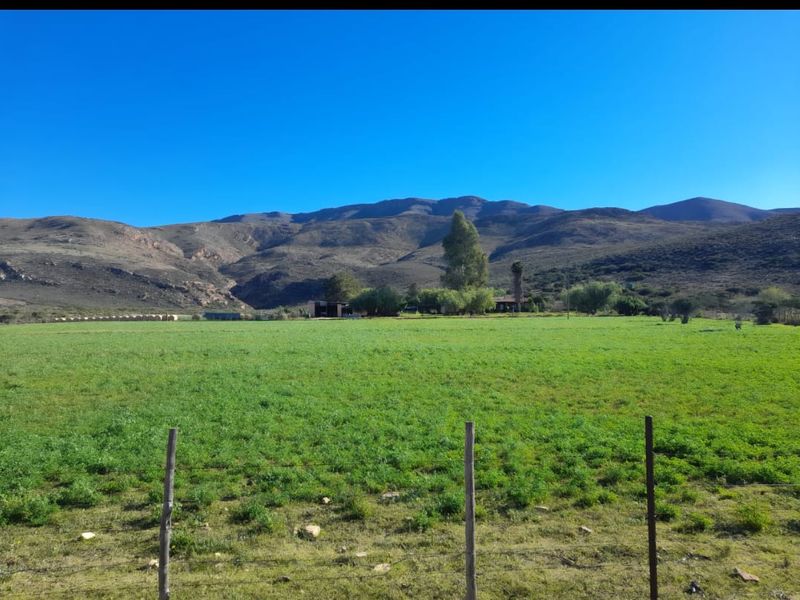 Ladismith, Western Cape - 123 ha Water-Rich Farm for Sale - Photo 6