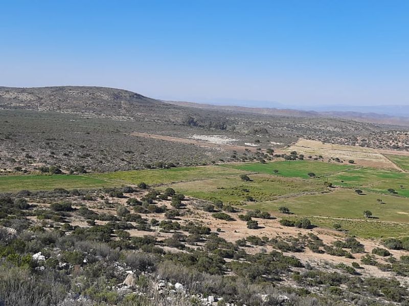 Ladismith, Western Cape - 123 ha Water-Rich Farm for Sale - Photo 9