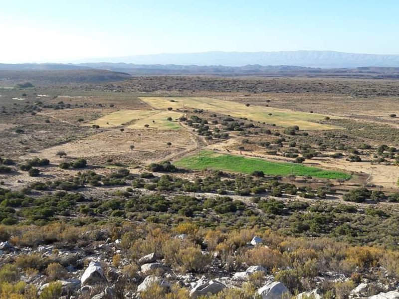 Ladismith, Western Cape - 123 ha Water-Rich Farm for Sale - Photo 2